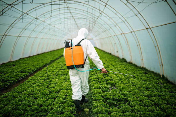 Best Best Pest Control Companies  in Aspen Hill, MD