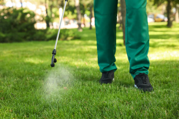 Best Pest Control Treatment  in Aspen Hill, MD