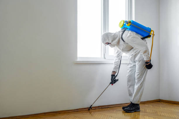 Best Flea Control Services  in Aspen Hill, MD