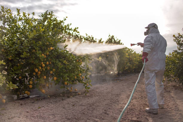 Best Pest Prevention Services  in Aspen Hill, MD