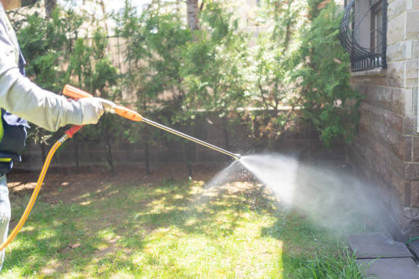 Best Wasp Removal Services  in Aspen Hill, MD