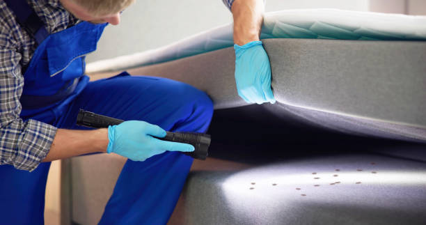 Best Best Pest Control Near Me  in Aspen Hill, MD