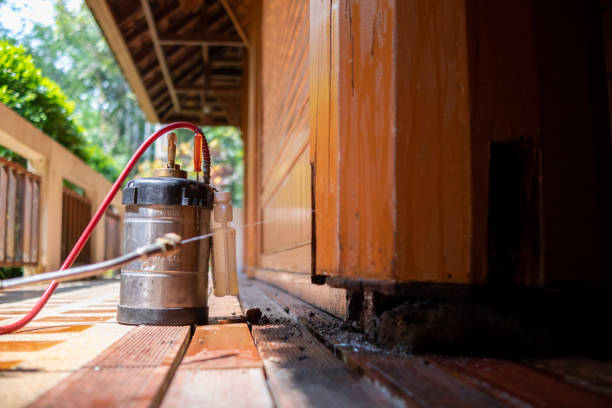 Best Termite Control Services  in Aspen Hill, MD