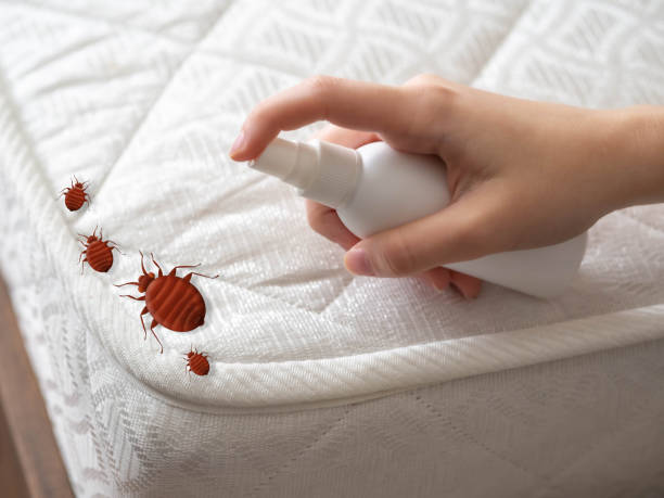 Best Mosquito Control Services  in Aspen Hill, MD
