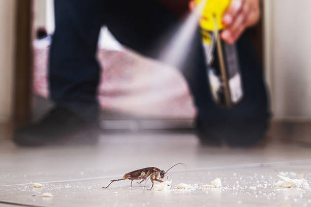 Best Rodent Control Near Me  in Aspen Hill, MD