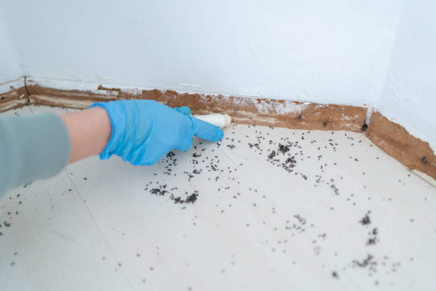 Best Pest Control Treatment  in Aspen Hill, MD